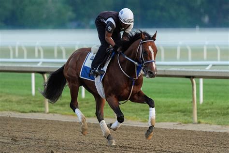 Odds for MVP contenders chasing Triple Crown in 2024 .